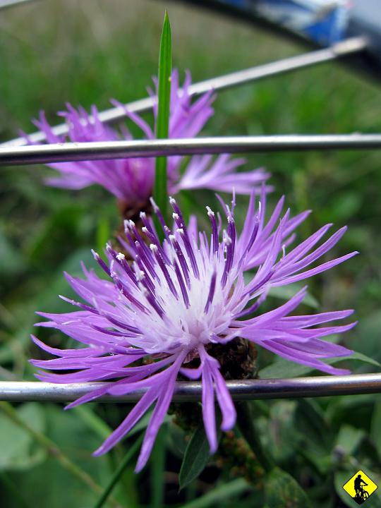 fota 124.jpg - Jako, że w pamięci mam kolejny lot przez kierownice, tylko tym razem Jurka, to pamiętam, że początek jest dość ostry i trzeba będzie wypchać rowery (jedyny raz na naszej trasie)